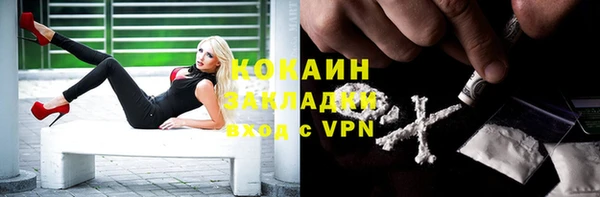 шишки Инсар