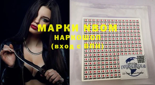 шишки Инсар
