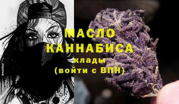 шишки Инсар