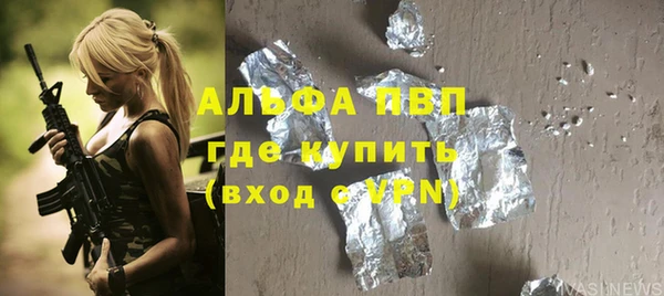 шишки Инсар