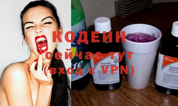 шишки Инсар