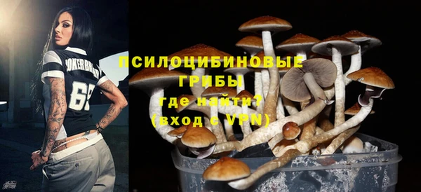 шишки Инсар