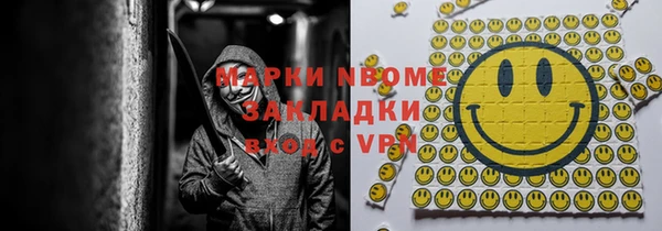 шишки Инсар