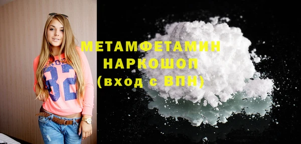 шишки Инсар