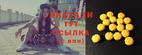 шишки Инсар
