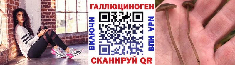 Псилоцибиновые грибы мухоморы  Купить закладки  Медногорск 